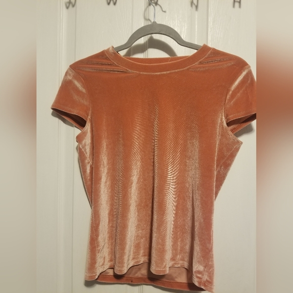 Madewell Rose/Blush Velvet Tee Shirt Size XS Color Orange - Picture 5 of 5